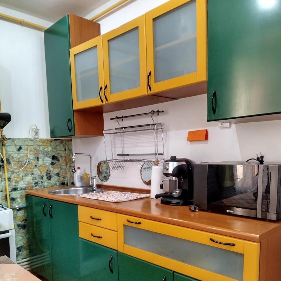 Apartament Camelia Petrozsény Kültér fotó