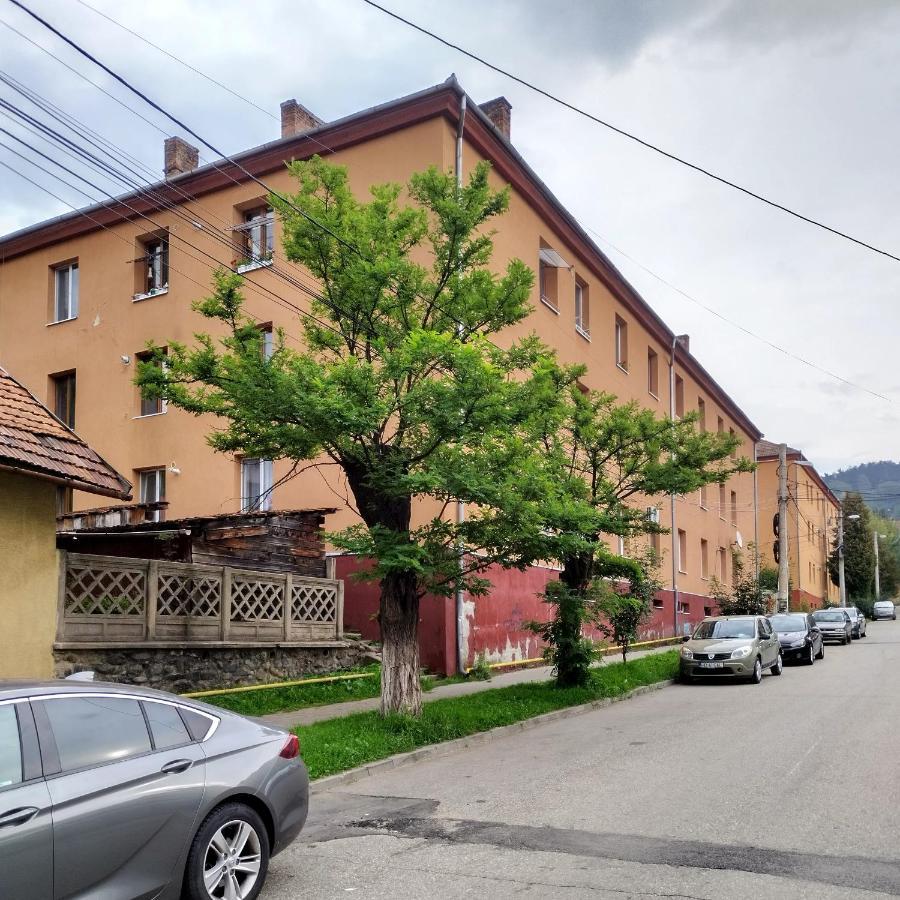 Apartament Camelia Petrozsény Kültér fotó