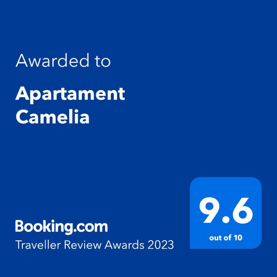 Apartament Camelia Petrozsény Kültér fotó